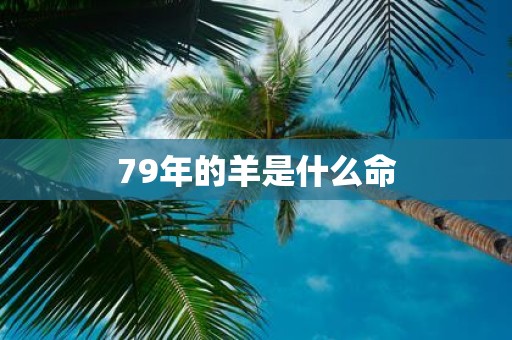 79年的羊是什么命