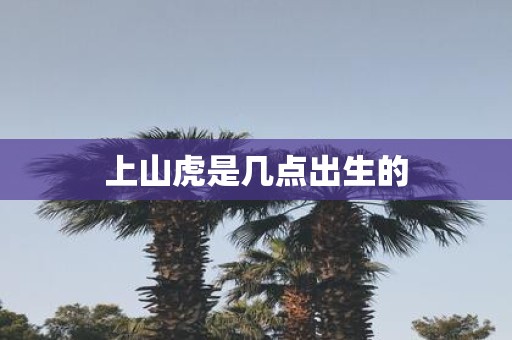 上山虎是几点出生的