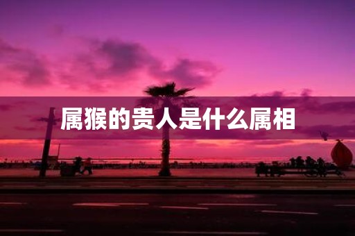 属猴的贵人是什么属相