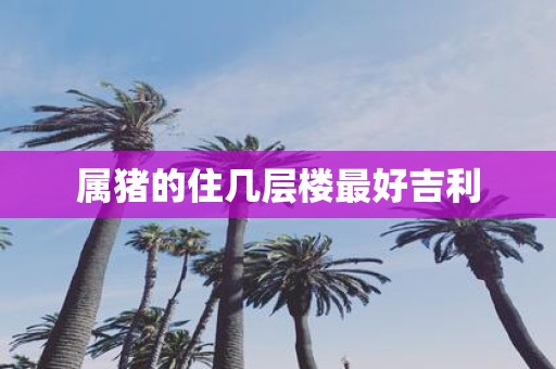 属猪的住几层楼最好吉利
