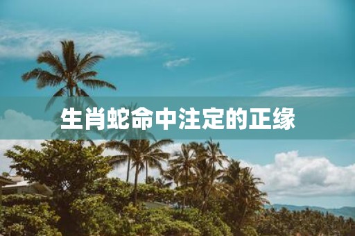 生肖蛇命中注定的正缘