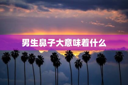 男生鼻子大意味着什么