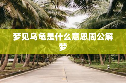 梦见乌龟是什么意思周公解梦