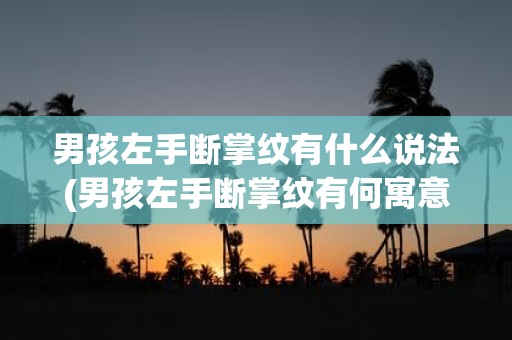 男孩左手断掌纹有什么说法(男孩左手断掌纹有何寓意？)