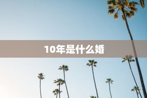 10年是什么婚
