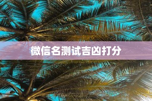 微信名测试吉凶打分