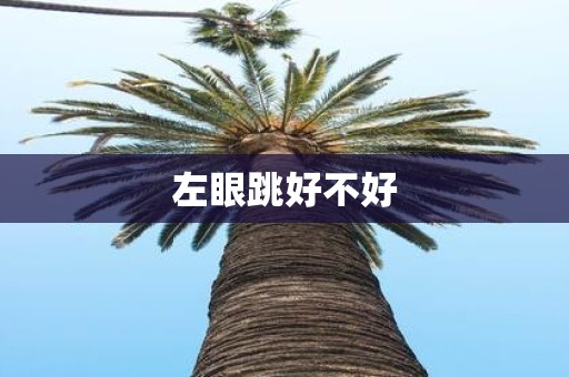左眼跳好不好