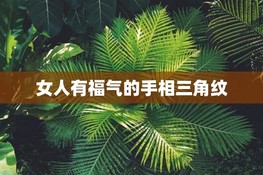女人有福气的手相三角纹