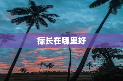 痣长在哪里好