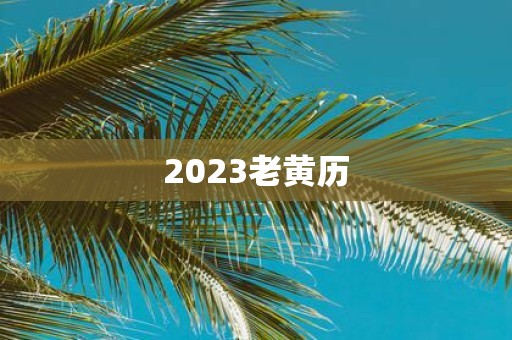 2025老黄历
