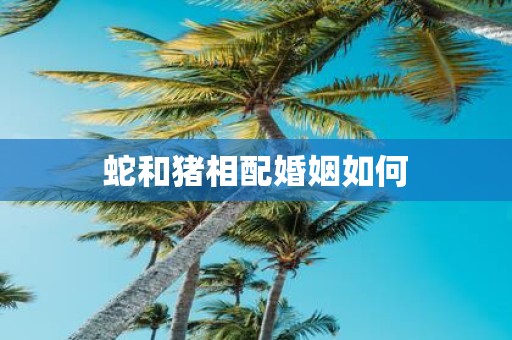 蛇和猪相配婚姻如何