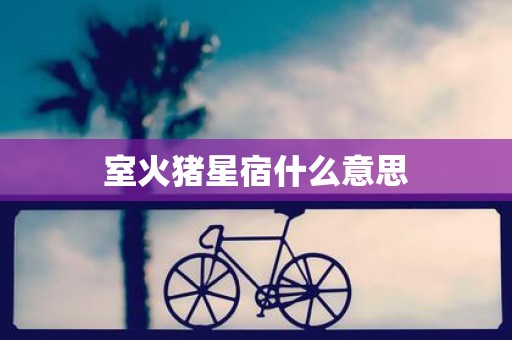 室火猪星宿什么意思