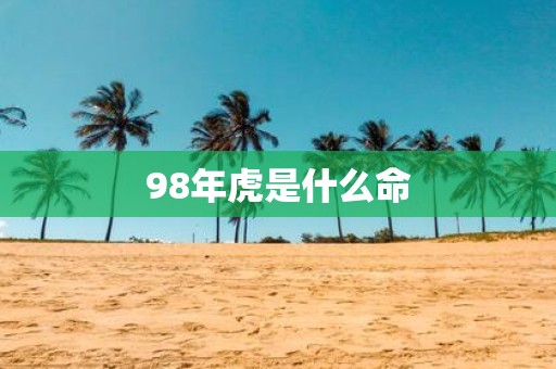 98年虎是什么命