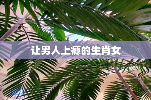 让男人上瘾的生肖女