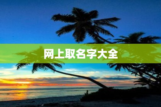 网上取名字大全