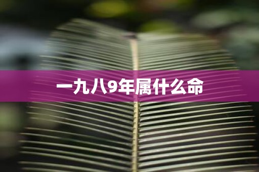 一九八9年属什么命