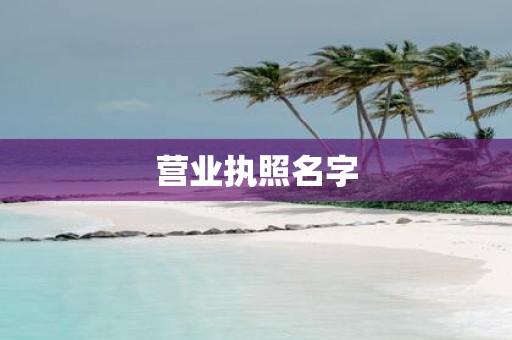 营业执照名字