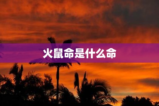 火鼠命是什么命