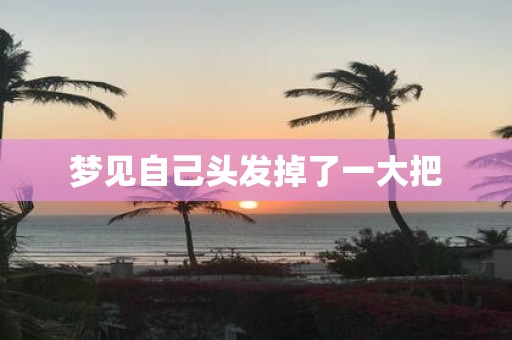 梦见自己头发掉了一大把