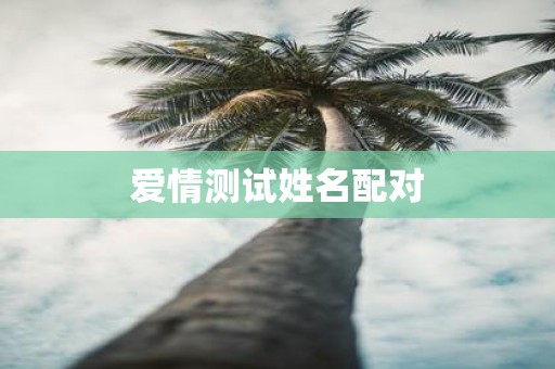 爱情测试姓名配对