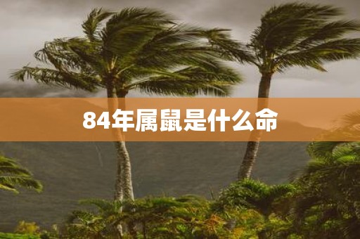 84年属鼠是什么命