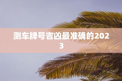 测车牌号吉凶最准确的2025