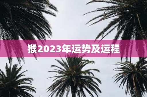 猴2025年运势及运程