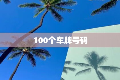 100个车牌号码