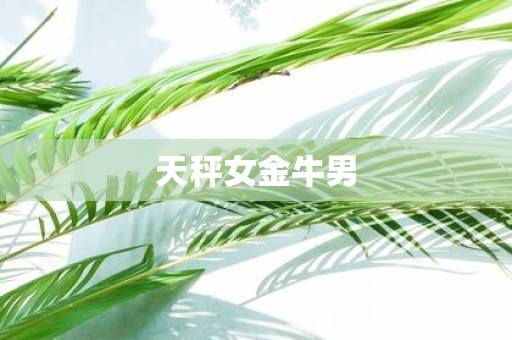 天秤女金牛男