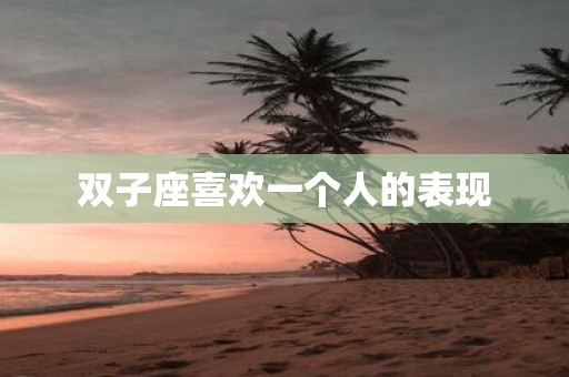 双子座喜欢一个人的表现