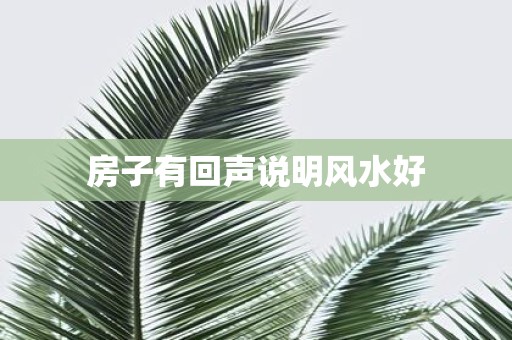 房子有回声说明风水好