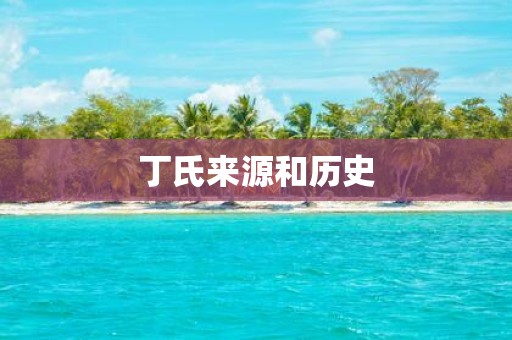 丁氏来源和历史