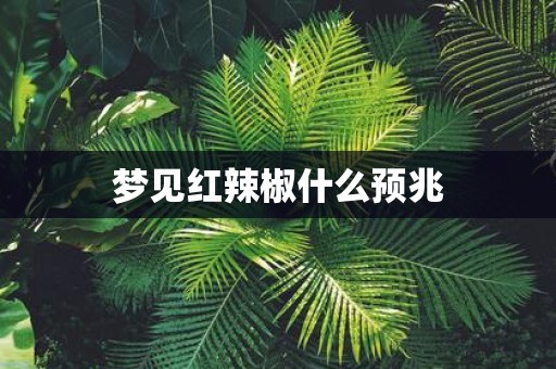 梦见红辣椒什么预兆