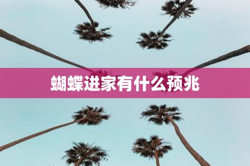 蝴蝶进家有什么预兆