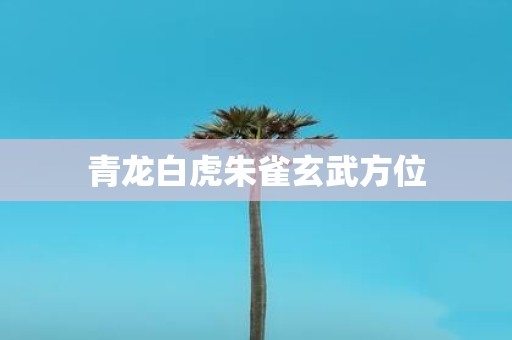 青龙白虎朱雀玄武方位