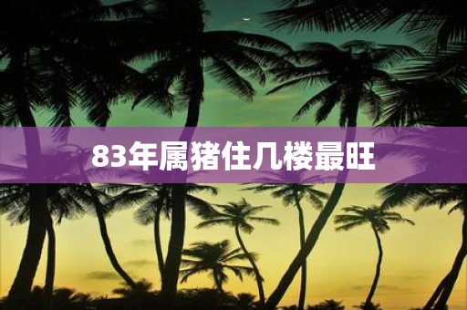83年属猪住几楼最旺