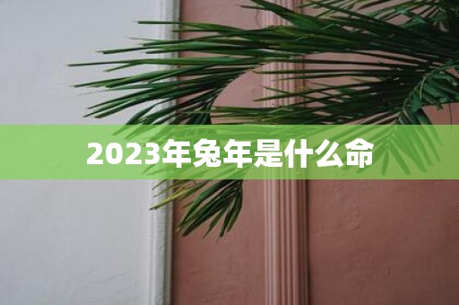 2023年兔年是什么命