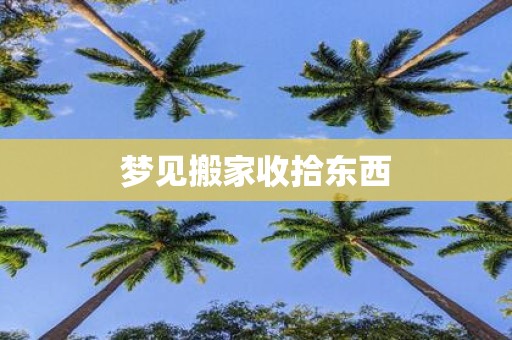 梦见搬家收拾东西
