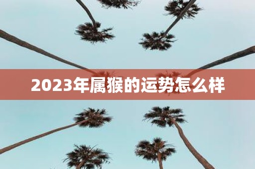 2023年属猴的运势怎么样