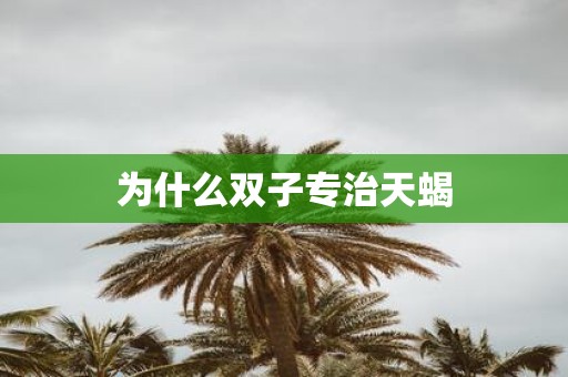 为什么双子专治天蝎