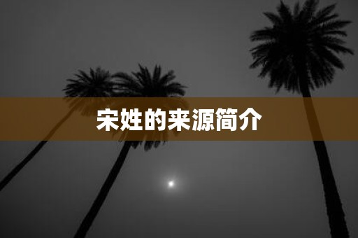 宋姓的来源简介