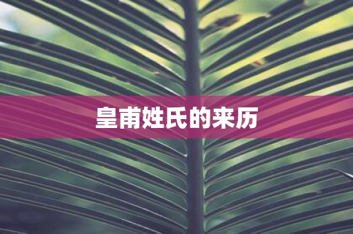 皇甫姓氏的来历