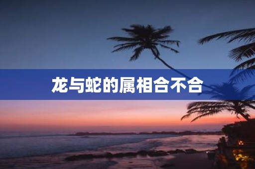 龙与蛇的属相合不合