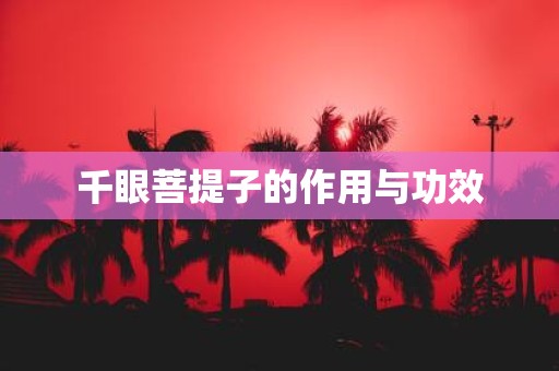 千眼菩提子的作用与功效