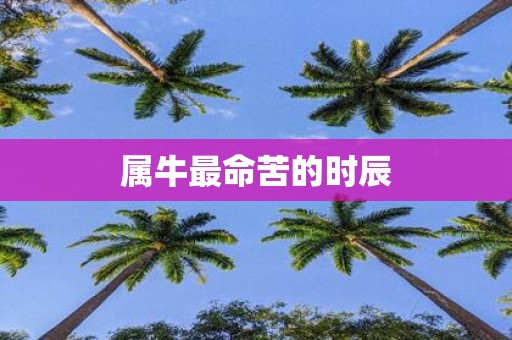 属牛最命苦的时辰