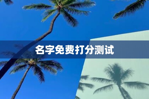 名字免费打分测试