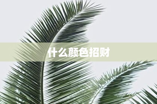 什么颜色招财