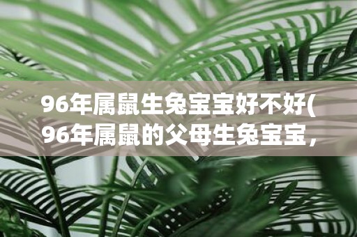 96年属鼠生兔宝宝好不好(96年属鼠的父母生兔宝宝，命运如何？)