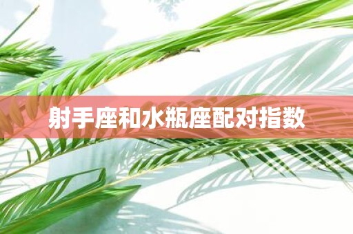射手座和水瓶座配对指数