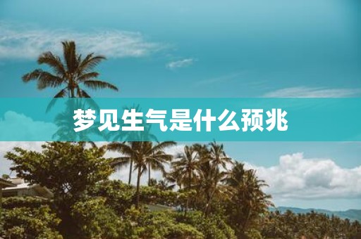 梦见生气是什么预兆